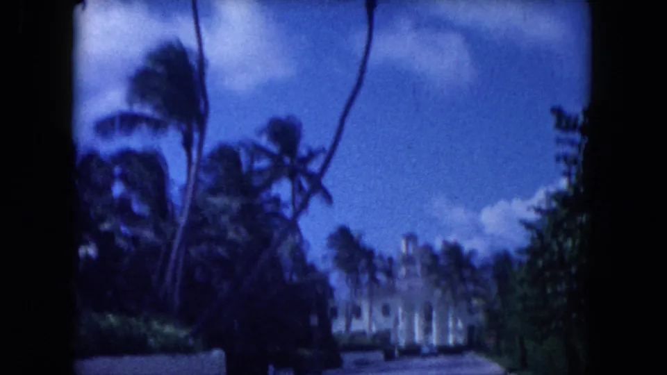 1960 Miami arrival view showing a palm-lined roadway and a pale towered building glimpsed through roadside foliage.