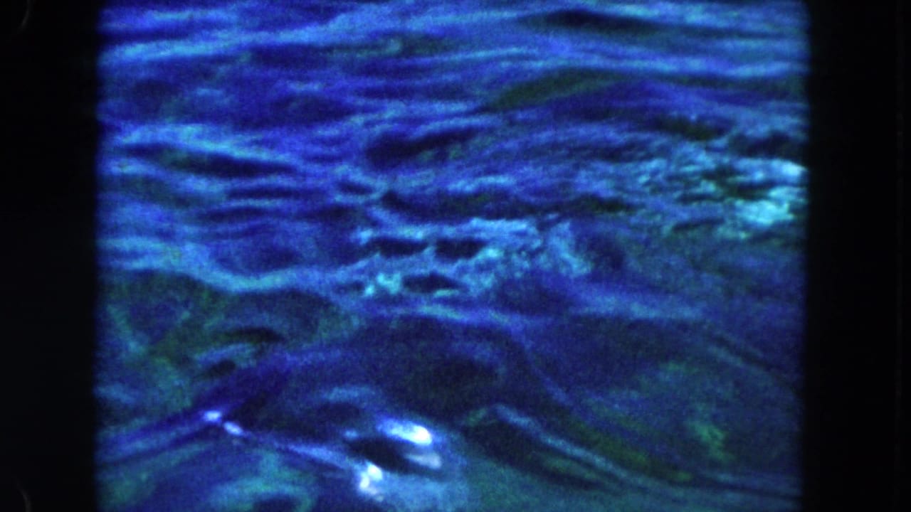 Dolphin swimming underwater in blue-tinted pool water.