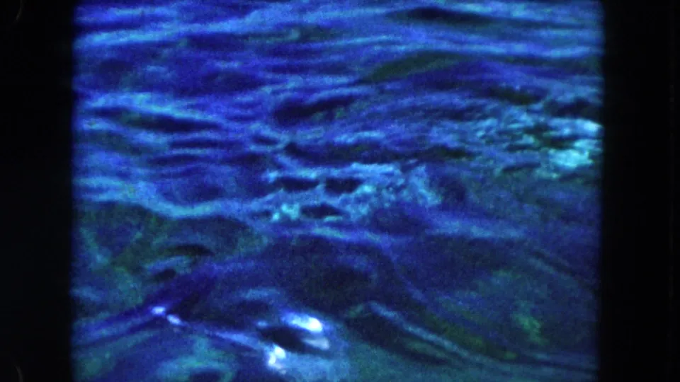1960 Miami 8mm frame showing a dolphin moving below the surface in blue-green pool water.