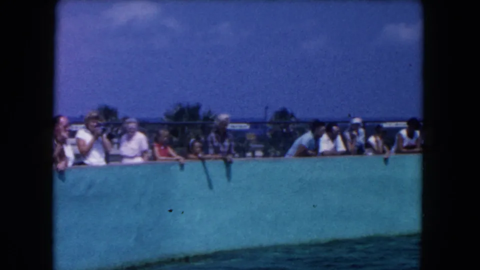1960 Miami 8mm frame of visitors lined along a turquoise dolphin pool wall under a bright sky.