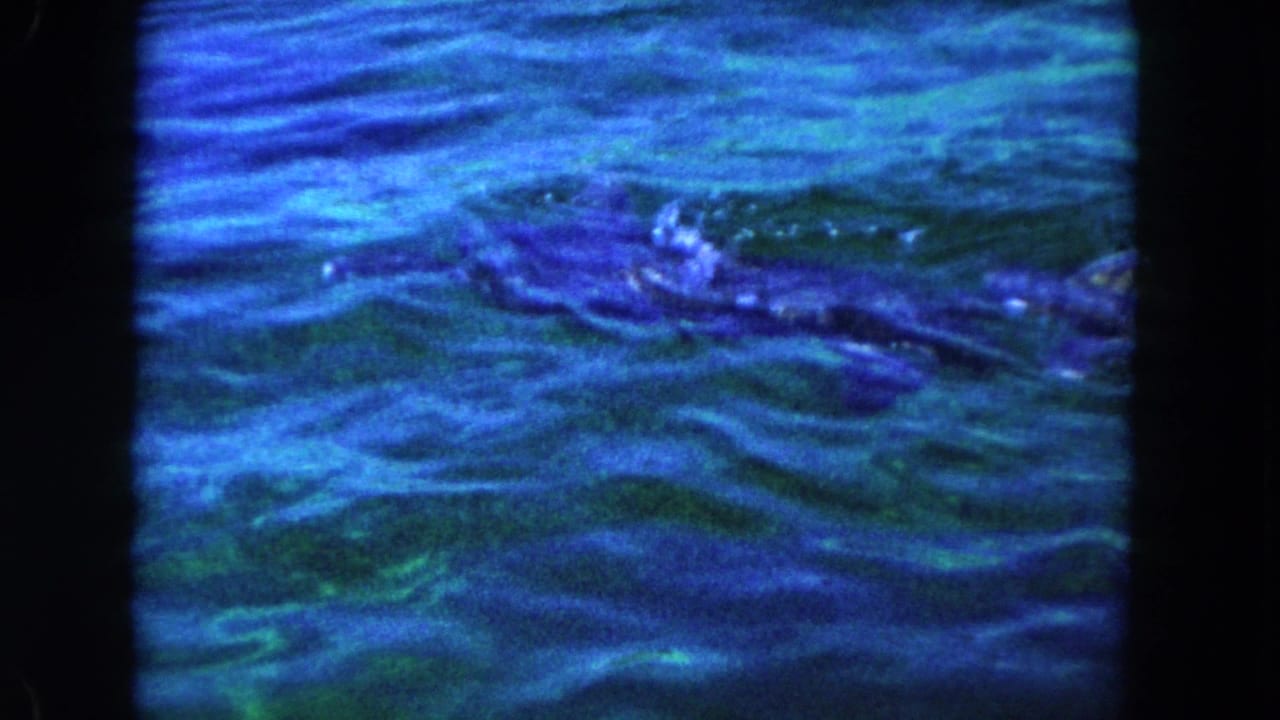 1960 Miami home-movie frame with a large marine animal form visible under blue-green water through ripples.