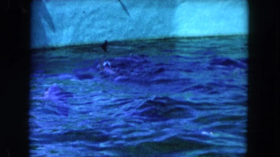 1960 Miami 8mm frame showing a pale viewing surface above rippling water and a dark marine animal shape below.