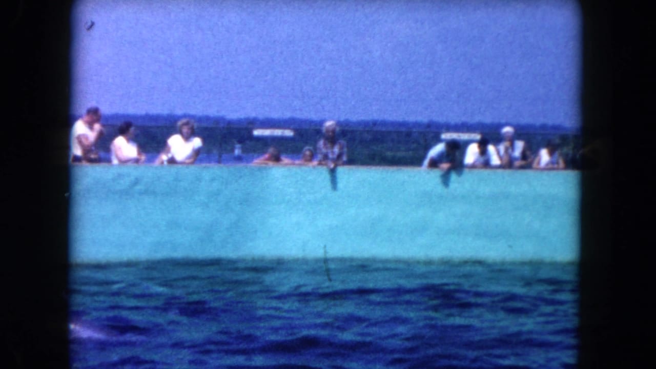 People gathered behind a turquoise wall beside rippling blue water.