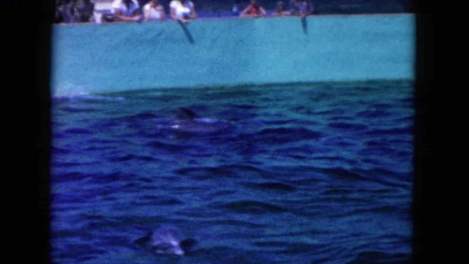 Final 1960 Miami-area frame showing rippling water and a small surface disturbance below the turquoise wall.