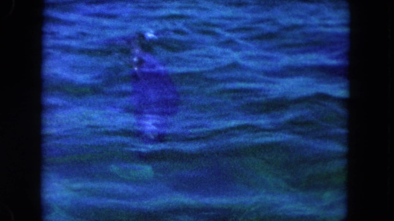 Blue-green rippling water with a dark submerged shape near the center.