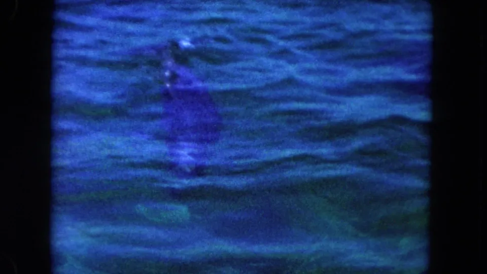 1960 Miami home-movie frame showing blue rippled water and an indistinct dark form below the surface.