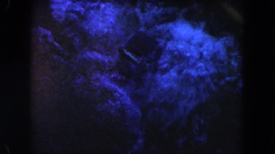 1960 Miami home-movie frame showing blue-lit, indistinct underwater shapes in a dark grainy view.