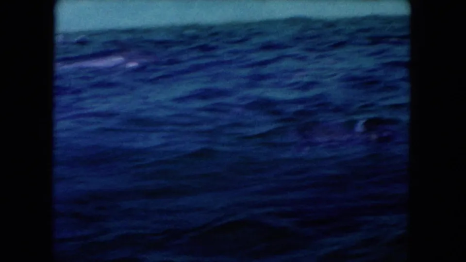 1960 Miami 8mm frame of rippled blue tank water with a dolphin shape partly visible beneath the surface.