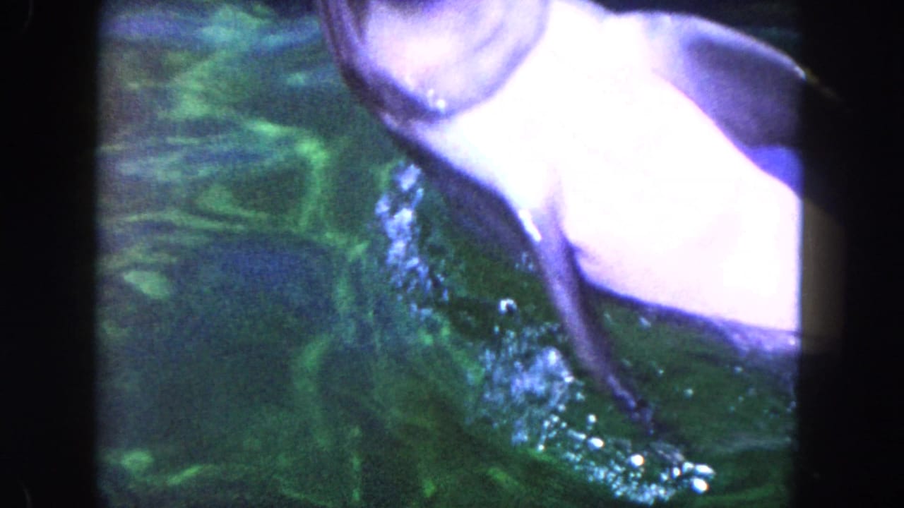 Partial view of a dolphin at the edge of the frame above green water, with bubbles and color-faded 8mm texture.