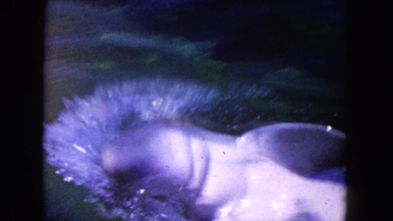 Bottlenose dolphin partly above dark green water with a bright splash.