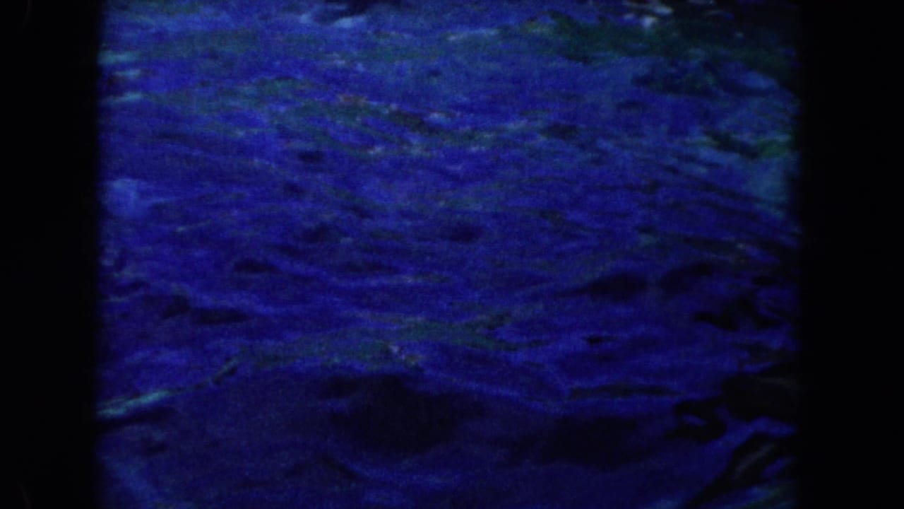 Dark blue water fills the frame with film borders and no clear dolphin visible.