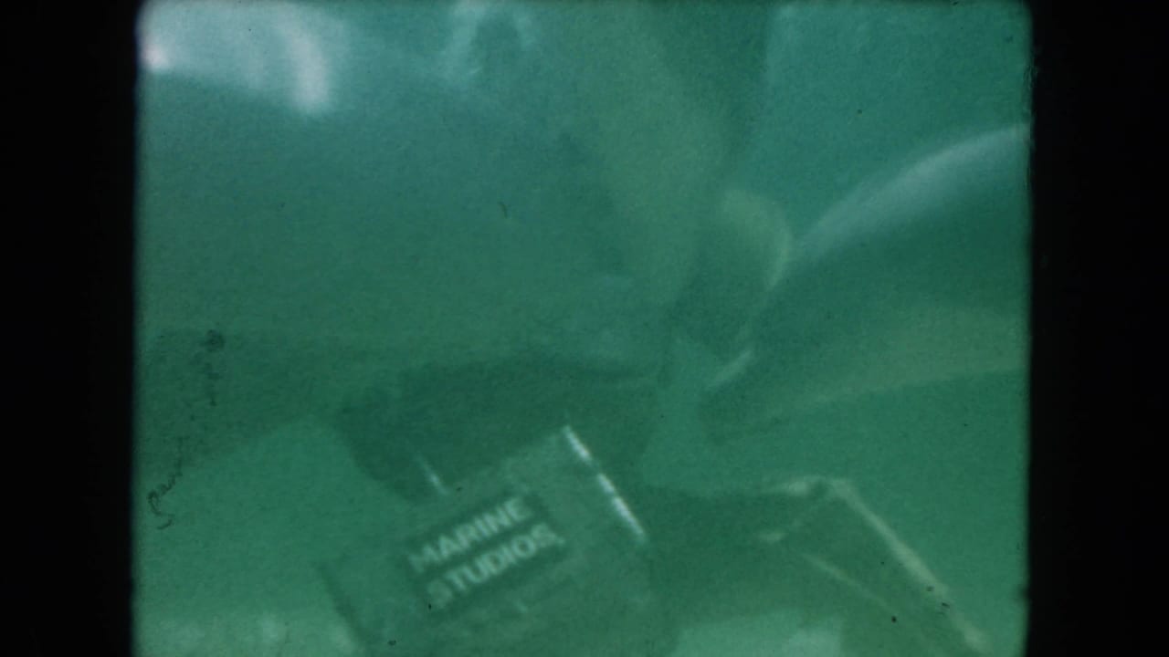 Scuba diver underwater near a container labeled Marine Studios in green water.
