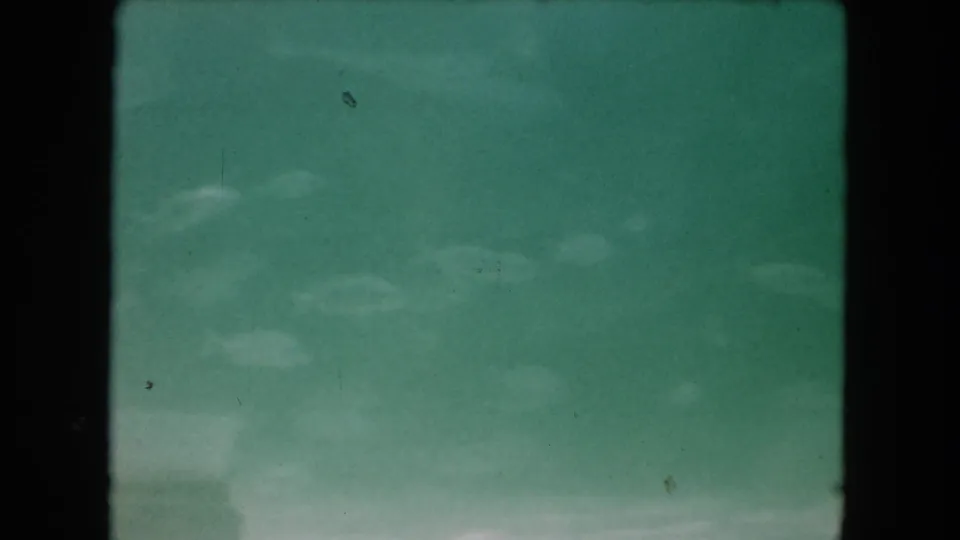 Soft 1960 Miami underwater frame with indistinct marine forms visible through green-tinted water and 8mm film grain.