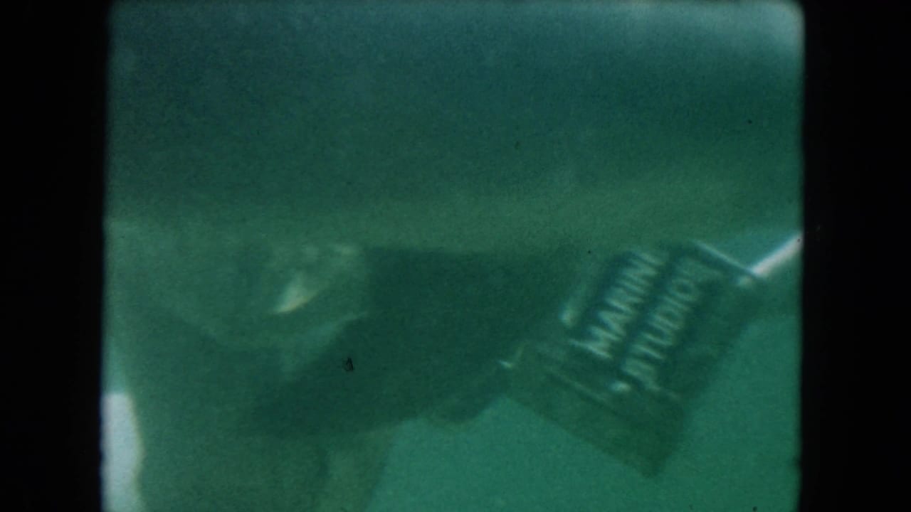 Helmeted diver underwater holds a dark box near dolphins in green-tinted water.