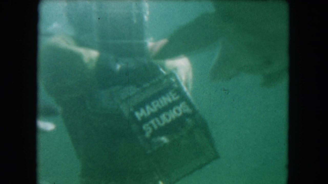 Box labeled Marine Studios is held underwater beside a dolphin and diver equipment.