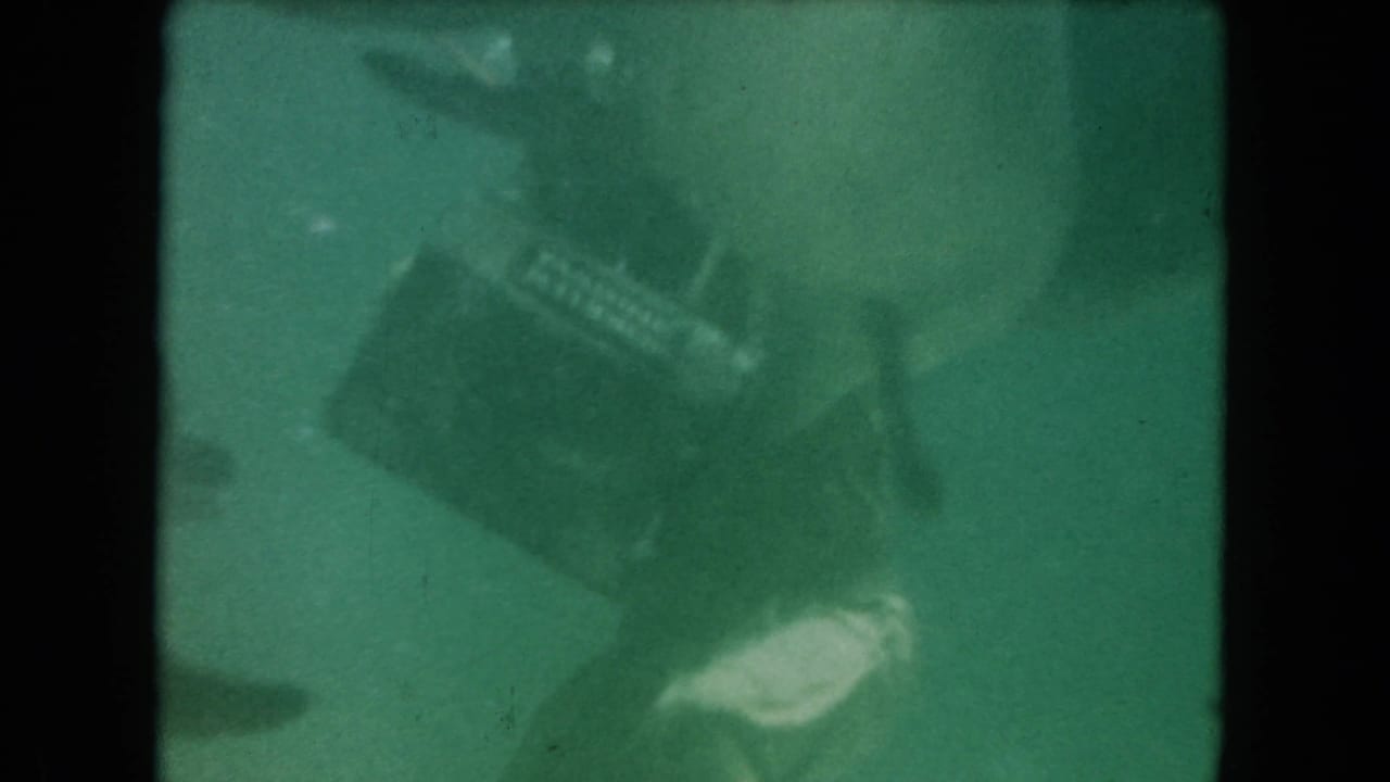 Underwater diver with basket as fish swim nearby.