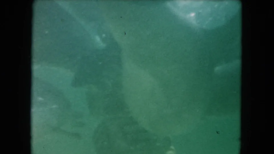 1960 Miami 8mm underwater frame with fish and indistinct diver or marine shapes softened by haze and grain.