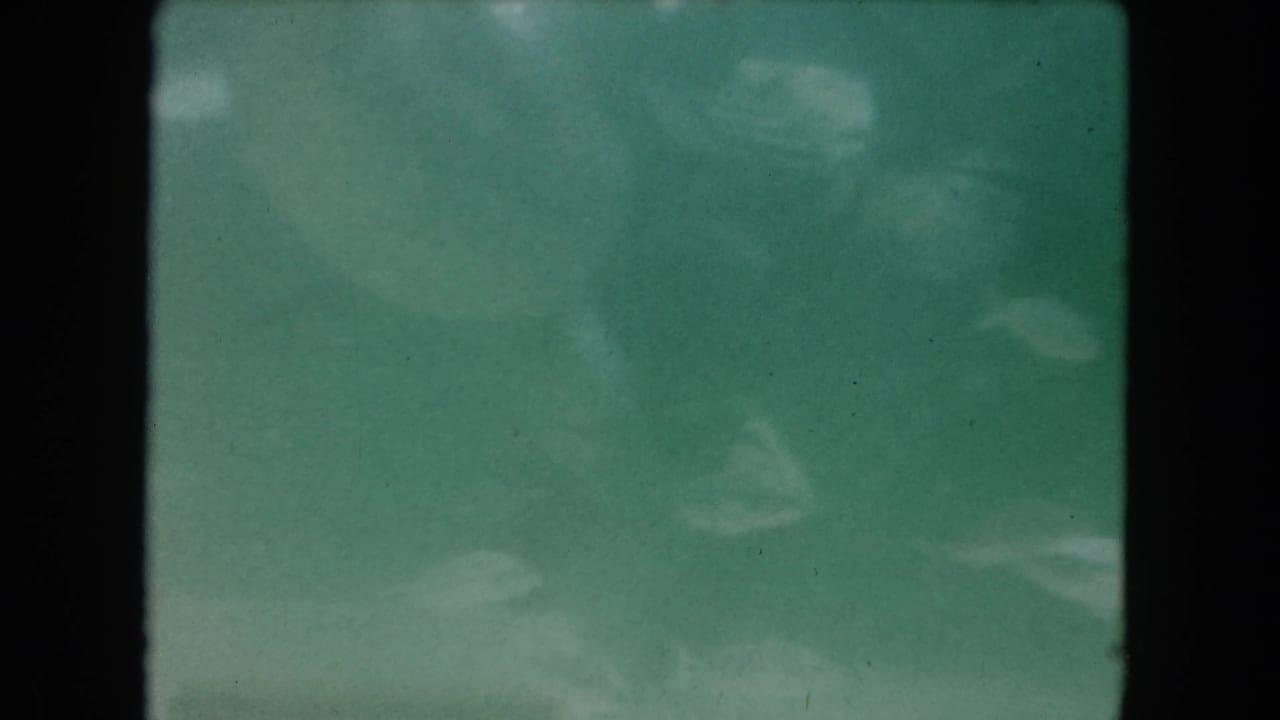 1960 Miami 8mm underwater pool view with hazy water, faint fish forms, and visible film gate edges.