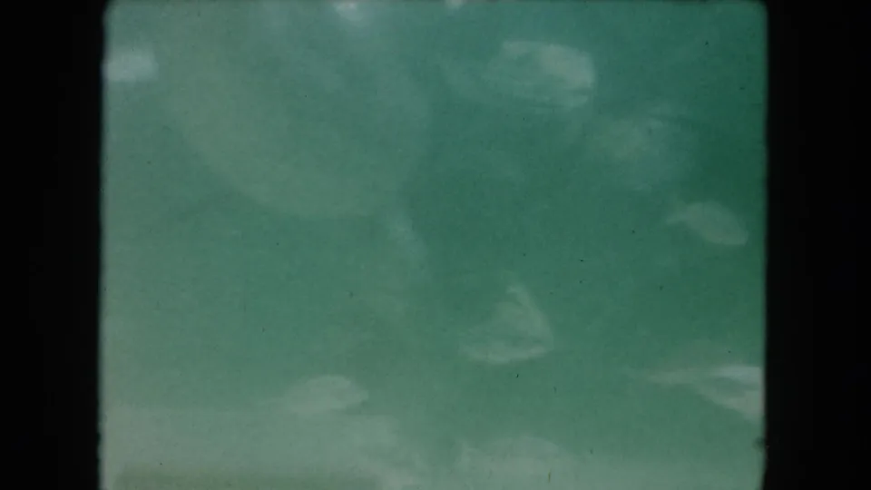 1960 Miami 8mm underwater pool view with hazy water, faint fish forms, and visible film gate edges.
