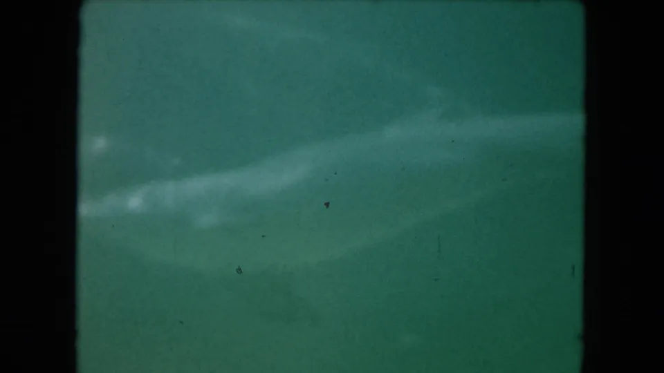 1960 Miami home-movie frame with murky pool water, bright underwater streaks, and faint fish-like movement.