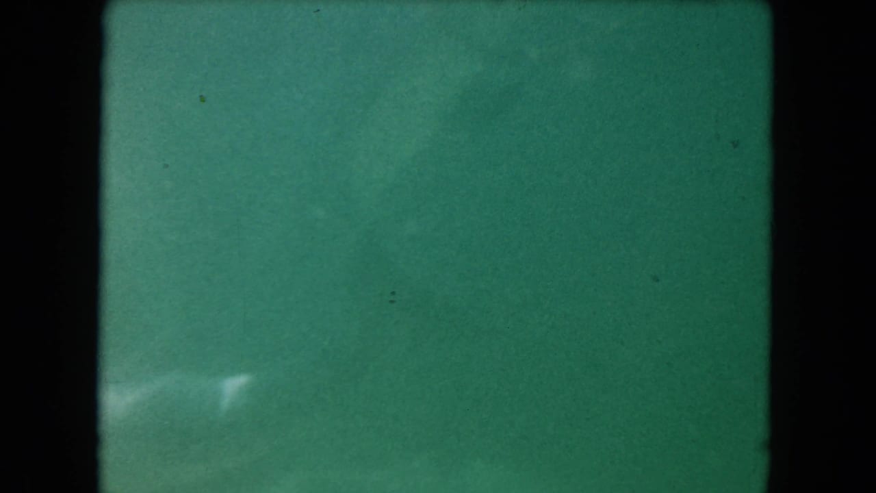 Greenish film frame with little discernible subject detail.