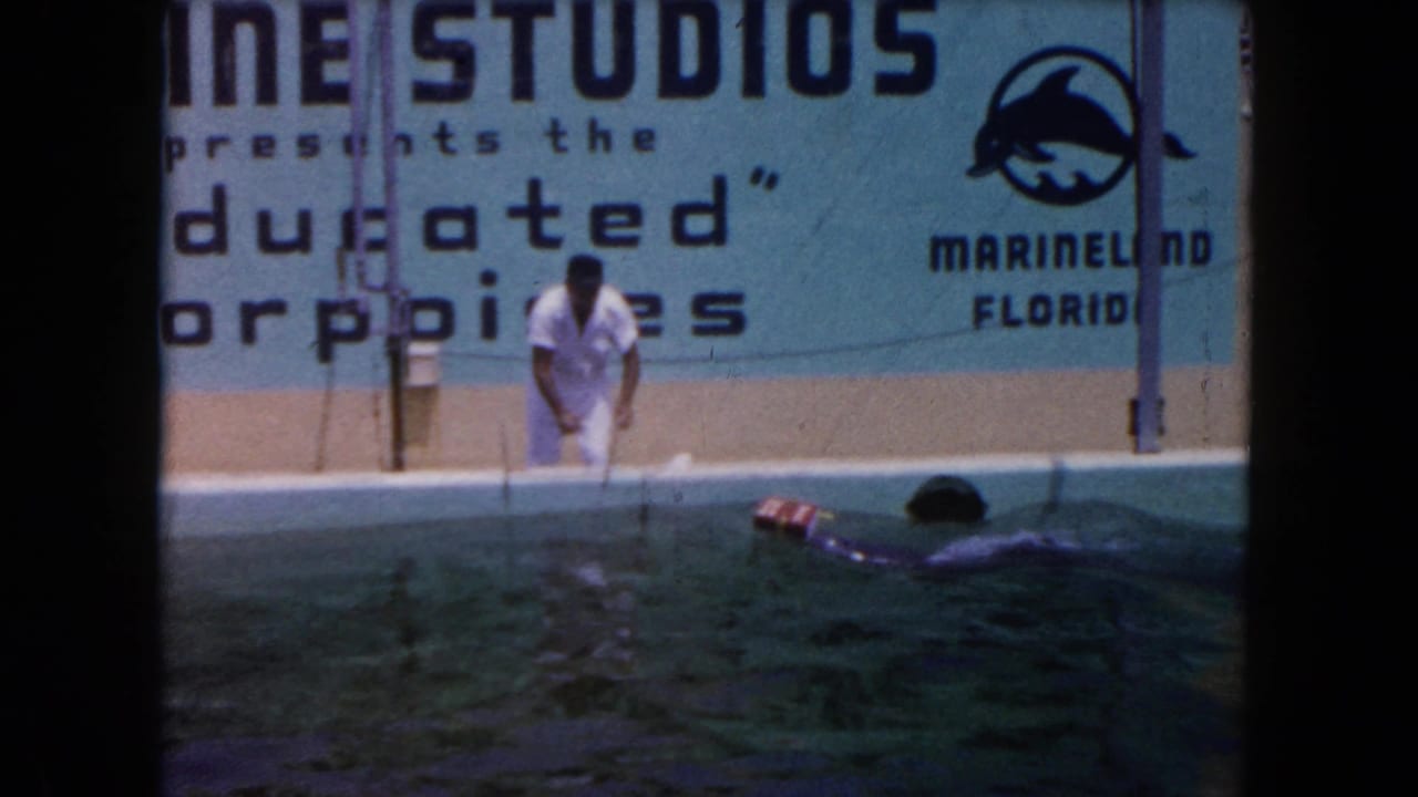 Trainer beside a pool as a dolphin swims near a Marineland Florida sign.