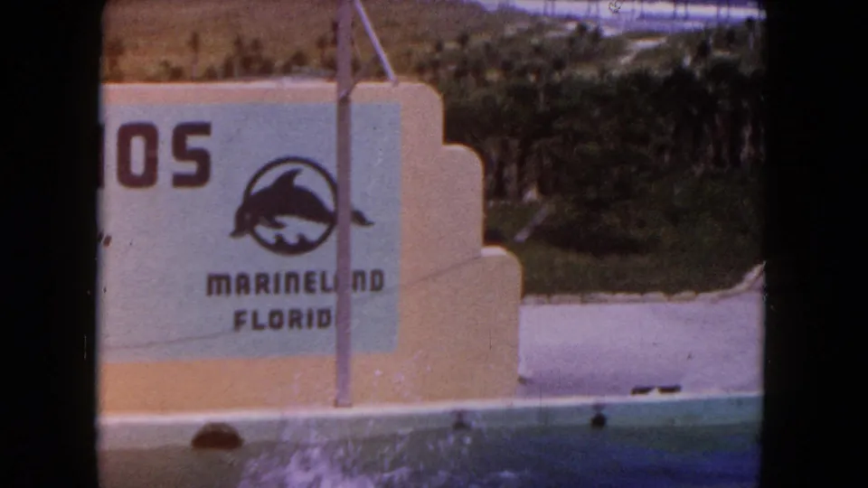 The Marineland Florida wall sign fills the frame while the dolphin's splash remains visible at the edge of the show pool.