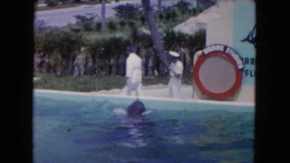 1960 Miami-area home-movie frame showing a dolphin in a pool near two white-uniformed staff and a Marine Studios sign.