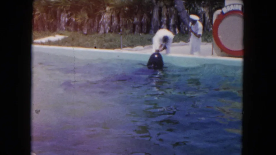 1960 Florida home-movie frame of a dolphin at a marine pool beside a trainer, uniformed observer, foliage, and a Marine Studios sign.