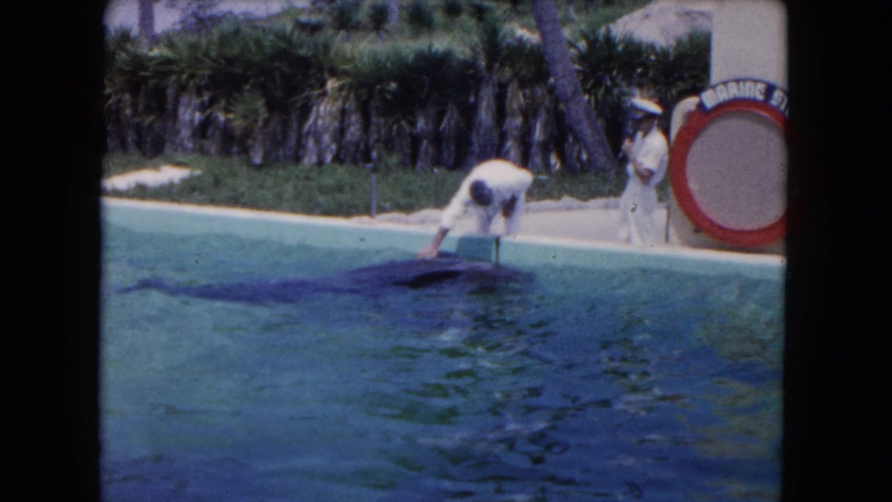 Man in white leans over a pool toward a dolphin while a uniformed man stands near a life preserver sign.