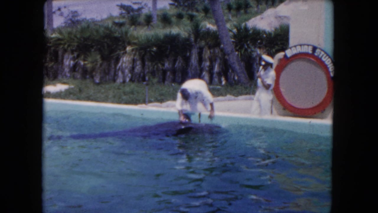 In 1960 Miami-area home-movie footage, a uniformed man tends to a whale at a pool edge as another man stands beside a Marine Studios life ring sign.