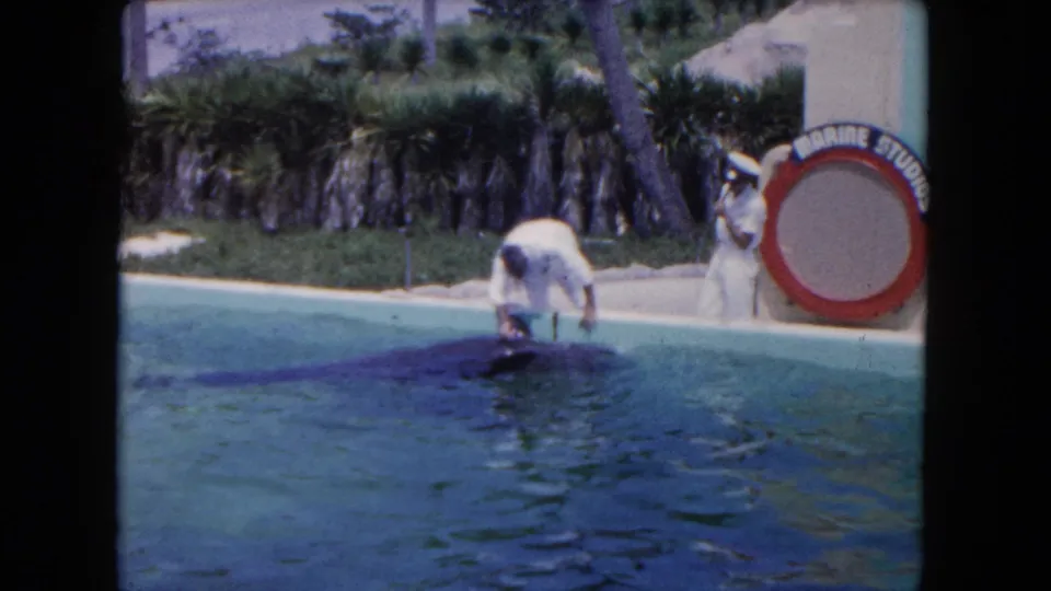 In 1960 Miami-area home-movie footage, a uniformed man tends to a whale at a pool edge as another man stands beside a Marine Studios life ring sign.