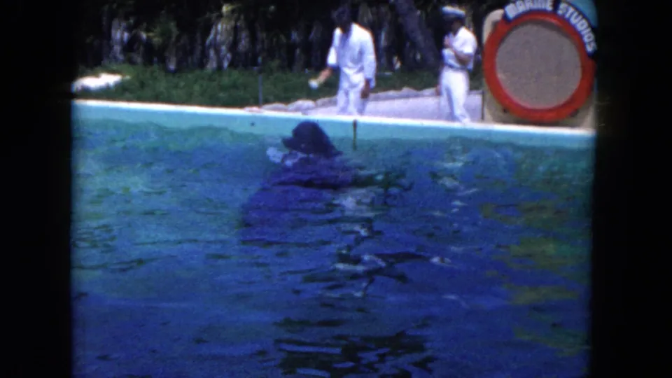 Circa-1960 Marine Studios frame with a dolphin near the pool surface and white-clad trainers watching from the pool edge.
