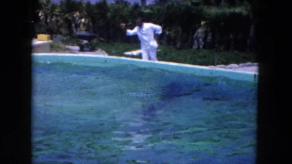 Circa-1960 Marine Studios home-movie frame with a trainer at the pool edge and a dolphin visible beneath the water surface.