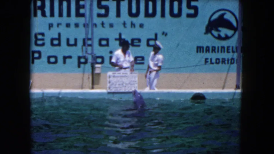 1960 Florida home-movie frame of trainers in white at a Marine Studios porpoise show, with the animal surfacing in front of the Educated Porpoise sign.