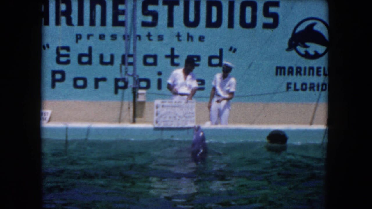 A porpoise rises from the pool while two trainers stand near a large Marine Studios sign.