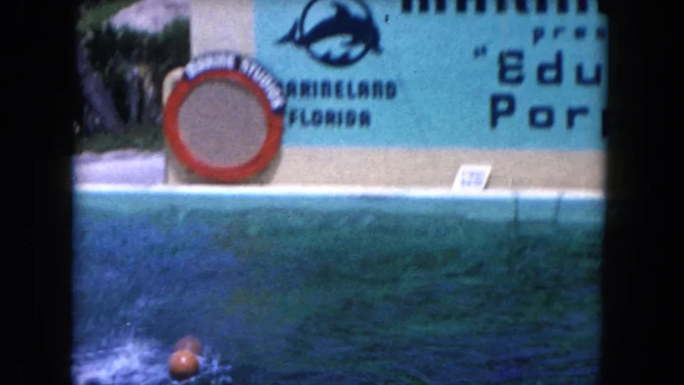 1960 Florida frame showing the show pool with a red ball, ring prop, and partial painted Marineland Florida signage.
