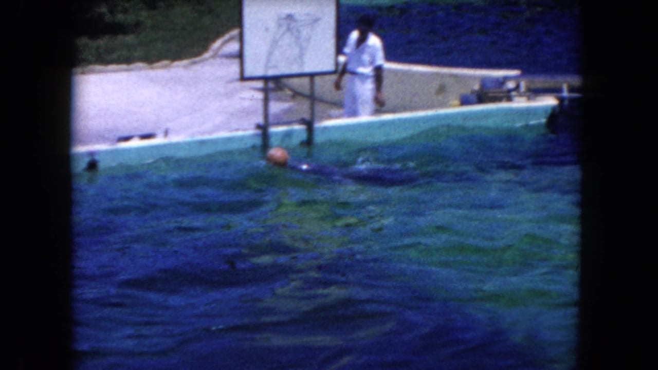 A trainer in white stands beside a basketball backboard while the dolphin remains low in the pool, Miami 1960 metadata supported.