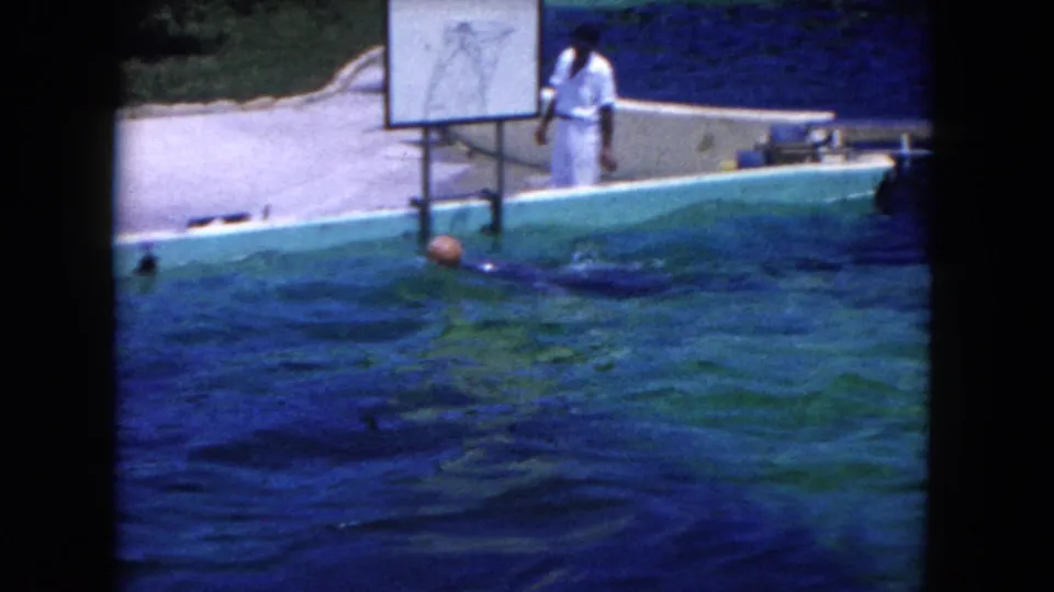 A trainer in white stands beside a basketball backboard while the dolphin remains low in the pool, Miami 1960 metadata supported.