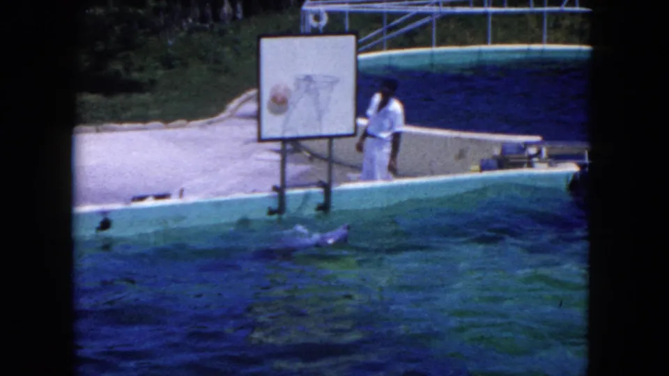 A basketball reaches the backboard during the dolphin trick as the trainer watches from the deck in 1960 Miami home-movie footage.