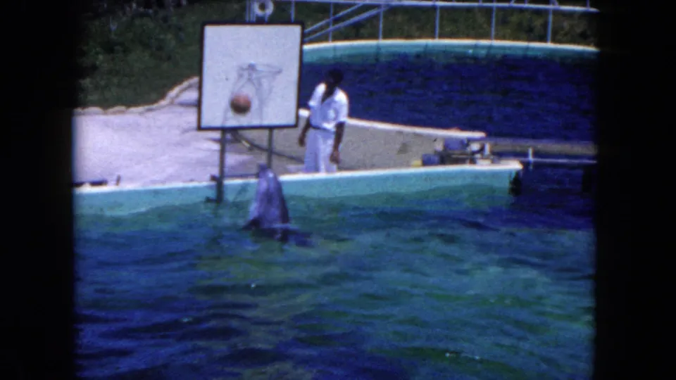 The dolphin lifts upright beneath the poolside hoop as the trainer observes, shown in supported 1960 Miami 8mm footage.