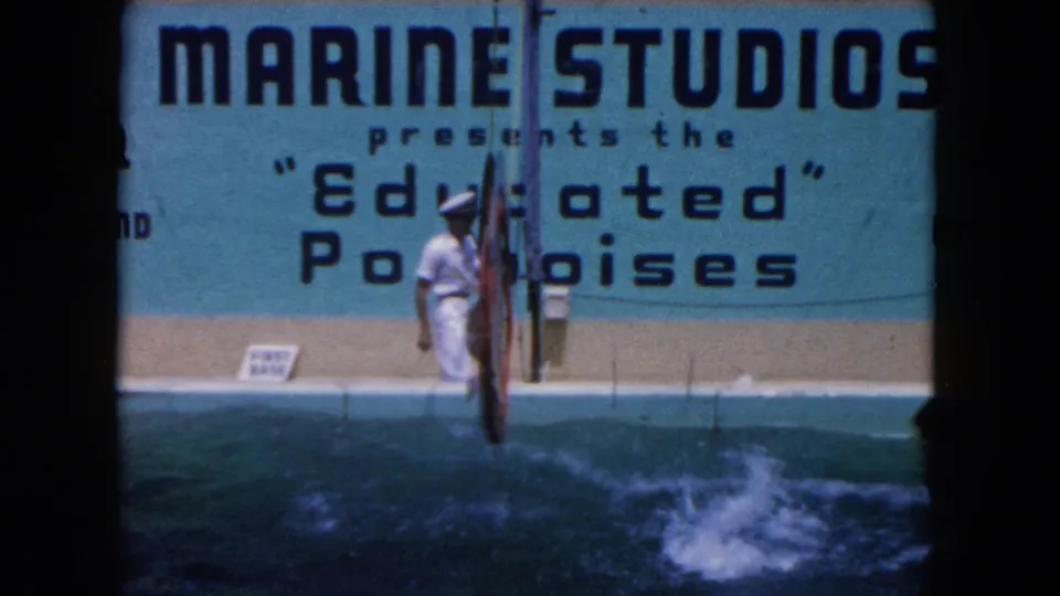 1960 8mm frame showing the aftermath of a dolphin trick, with splash water, trainer, pole, and Marine Studios signage visible.