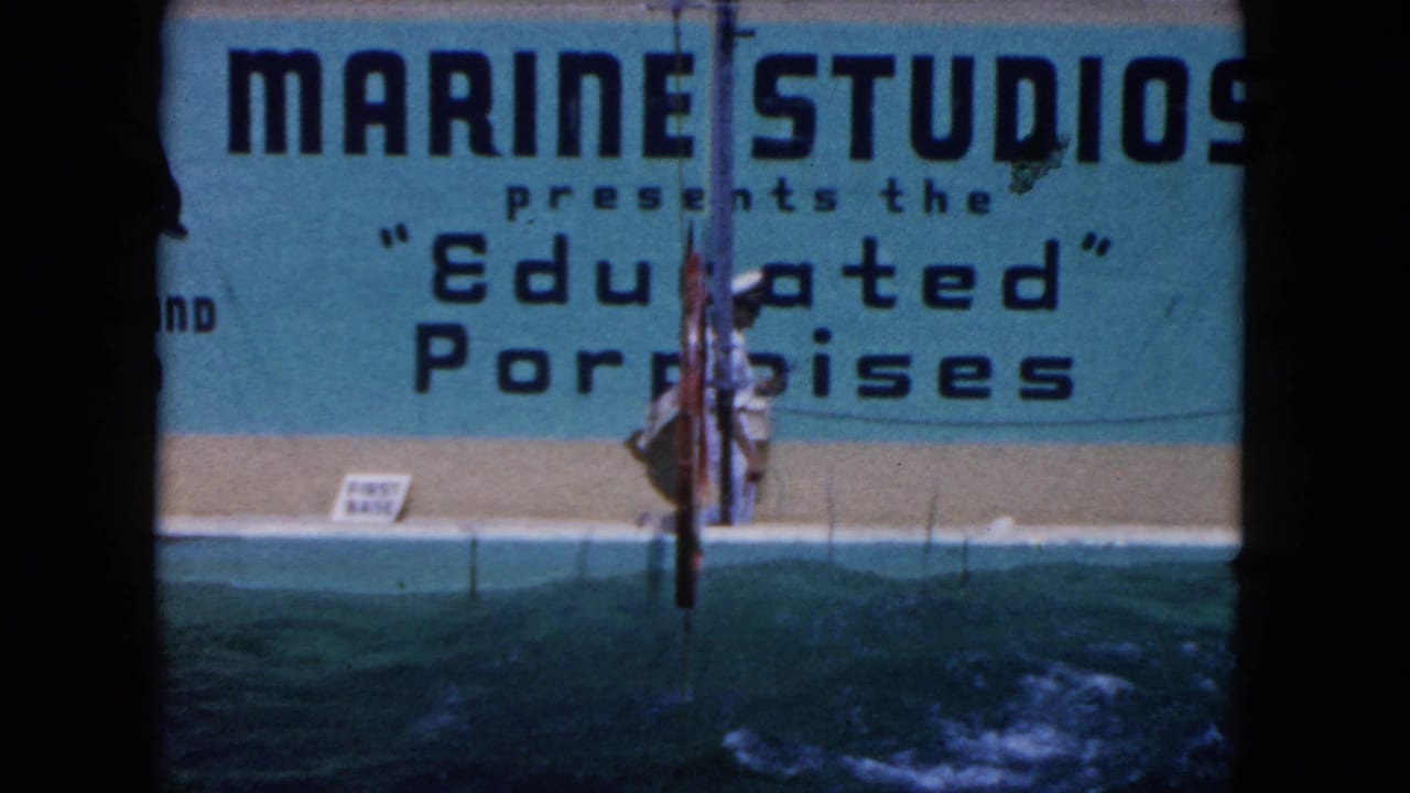 1960 Miami-area archival 8mm frame showing Marine Studios signage for "Educated" Porpoises above a turquoise performance pool with a trainer-like figure on the deck.