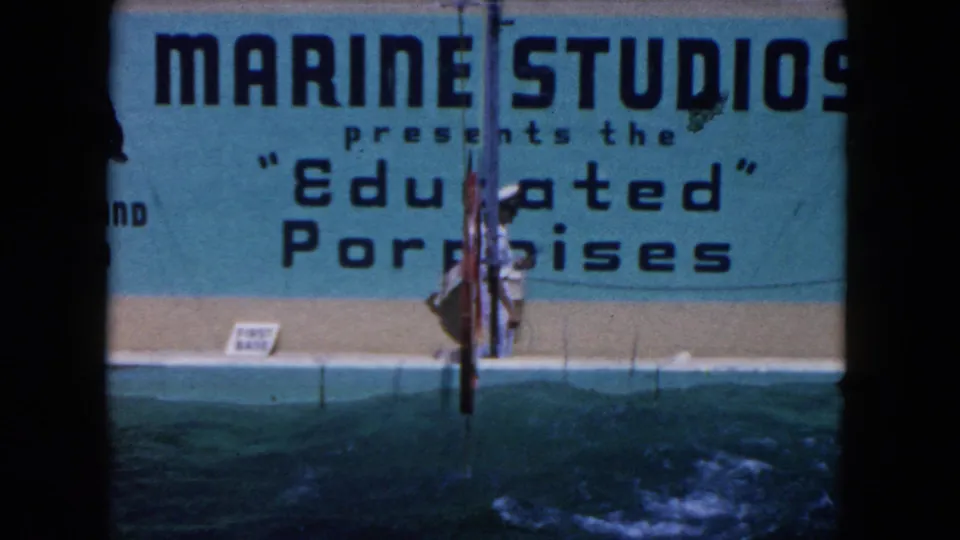 1960 Miami-area archival 8mm frame showing Marine Studios signage for "Educated" Porpoises above a turquoise performance pool with a trainer-like figure on the deck.