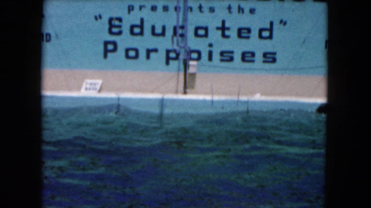 Archival 8mm frame from the Marine Studios performance area showing the "Educated" Porpoises sign, pool wall, and rippling turquoise water between show actions.