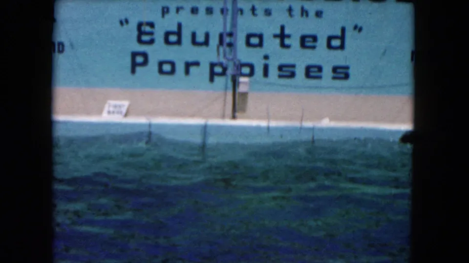 Archival 8mm frame from the Marine Studios performance area showing the "Educated" Porpoises sign, pool wall, and rippling turquoise water between show actions.