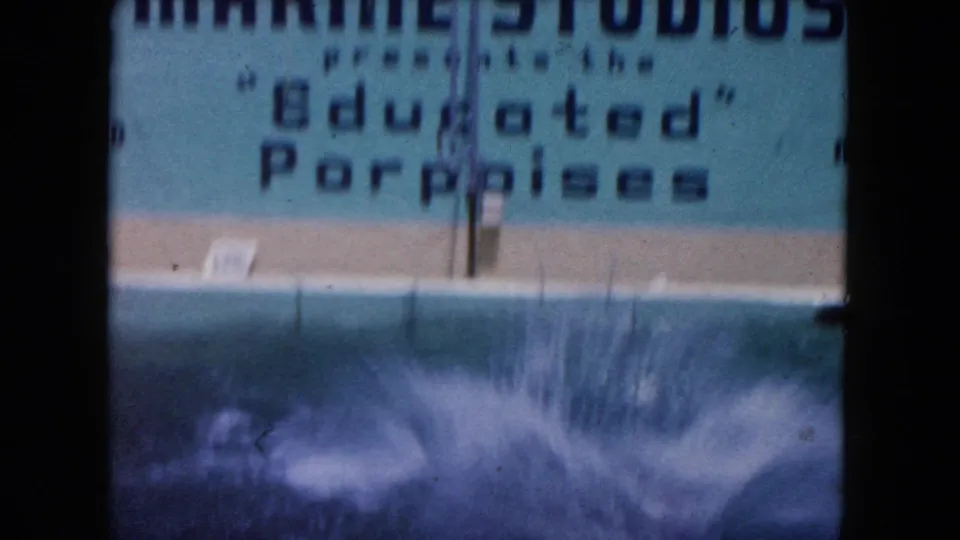 1960 Miami-area home-movie frame showing a Marine Studios porpoise sign and a large splash in the pool below.