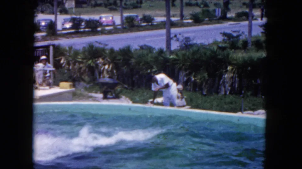 A dolphin creates a bright splash in the pool while the trainer remains near the edge, with palms and period cars in the background.