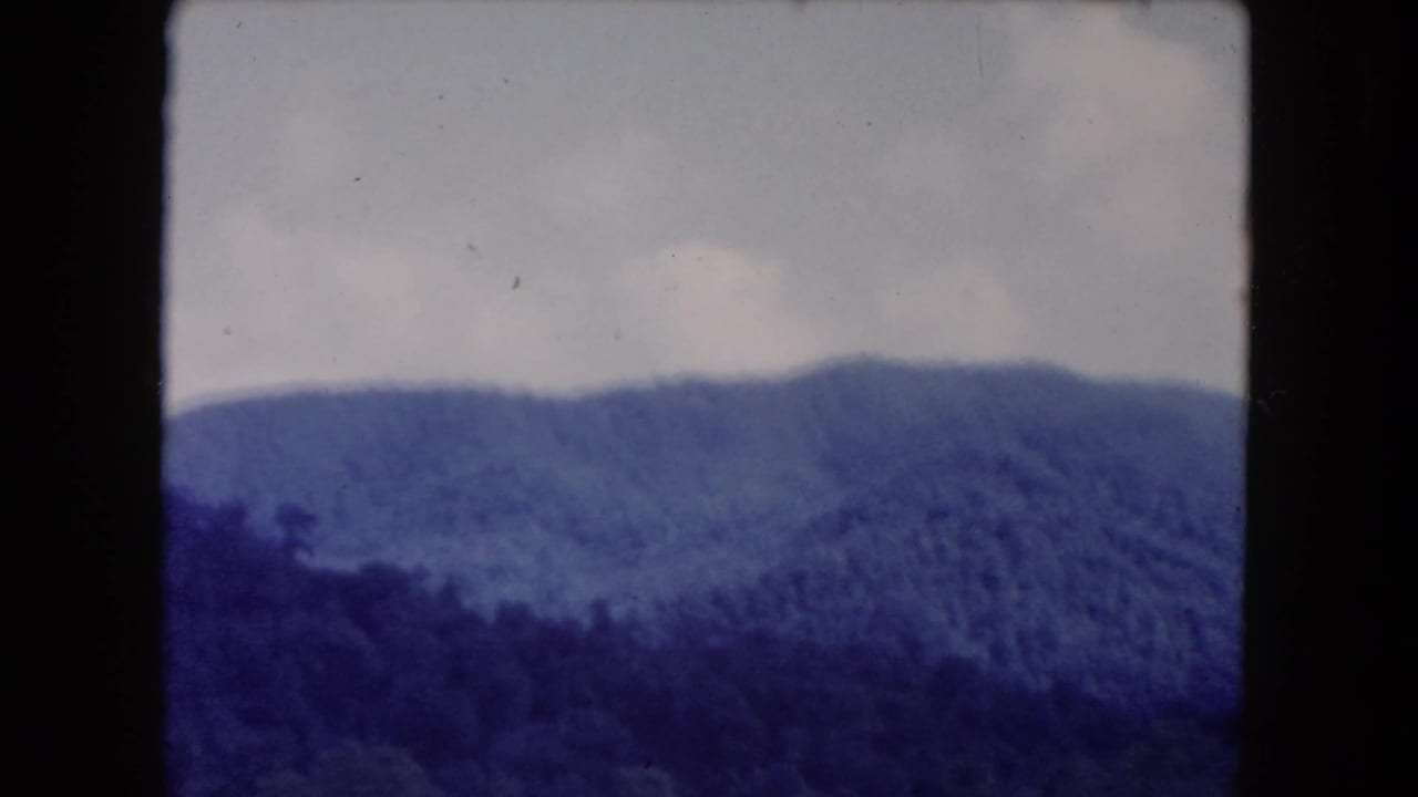 Forested ridge line and pale sky with soft focus and visible film wear.
