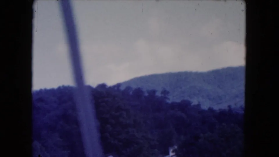 The final 8mm frame shows a tree-covered slope and distant ridge behind a blurred vertical bar, with a small pale patch near the lower right.